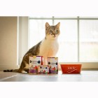 Katze Nassfutter Powertöpfchen 200g 6 Stück -3- Anifit